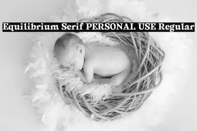 Equilibrium Serif PERSONAL USE Regular Font examples