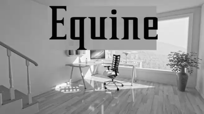 Equine Font examples