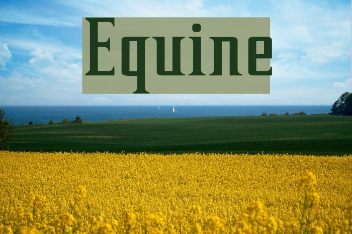 Equine Font examples