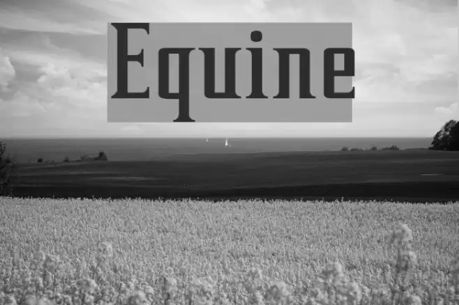 Equine Font examples