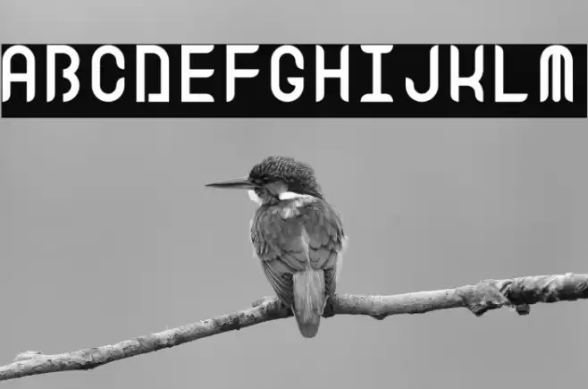 Equinox Font examples