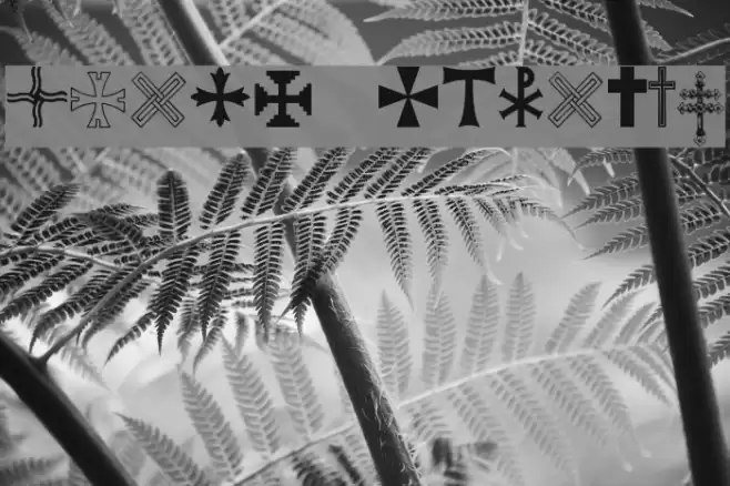 Equis Regular Font examples