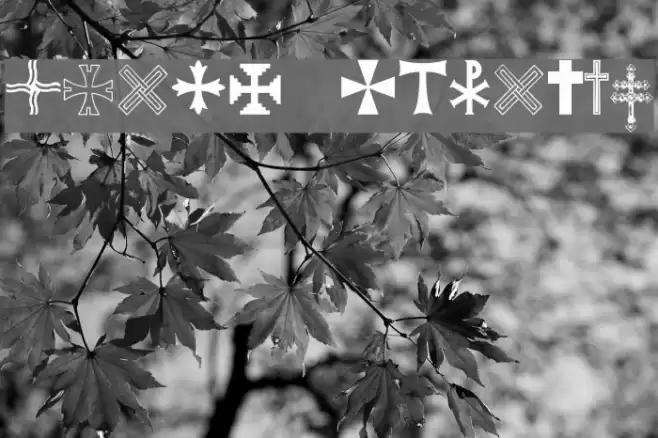 Equis Regular Font examples