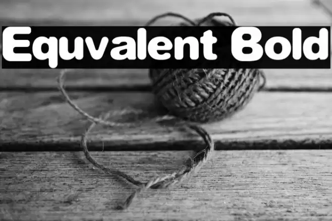 Equvalent Bold Font examples