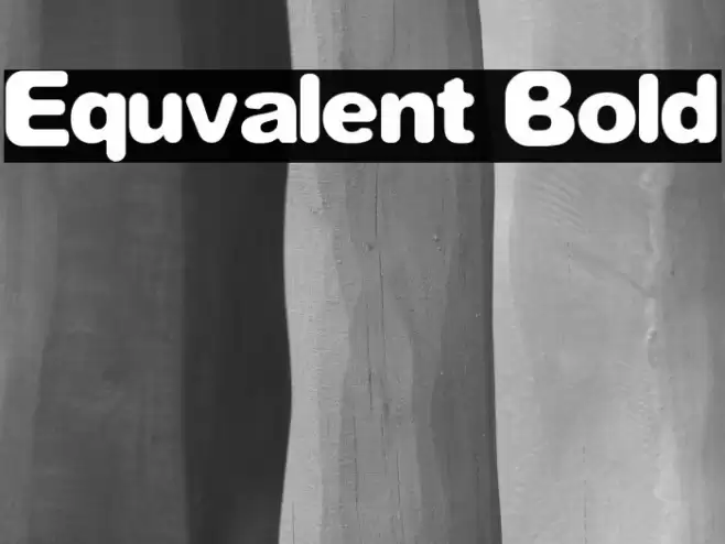 Equvalent Bold Font examples