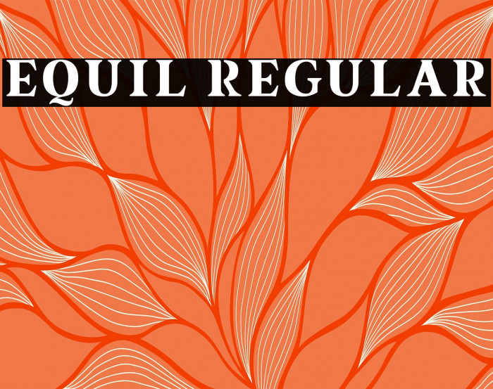 equil Regular Example 1