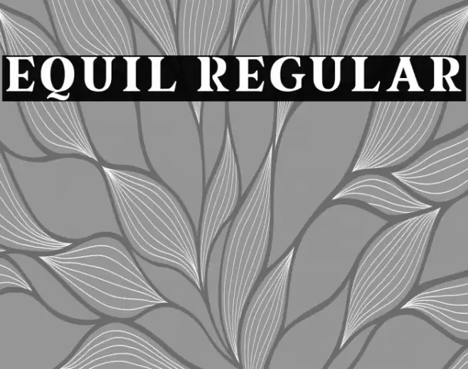 equil Regular Font examples