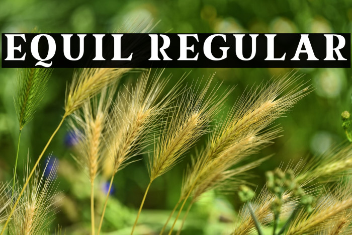 equil Regular Example 2