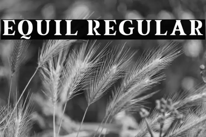 equil Regular Font examples