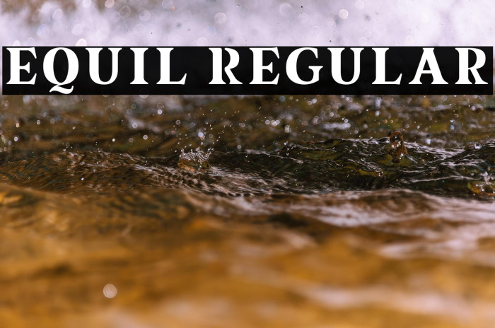 equil Regular Example 3