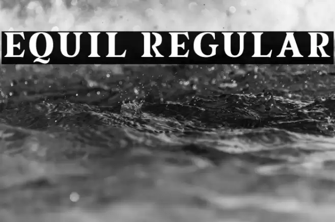 equil Regular Font examples