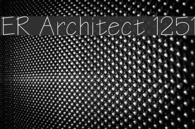 ER Architect 1251 Fonte examples