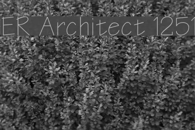 ER Architect 1251 Fonte examples