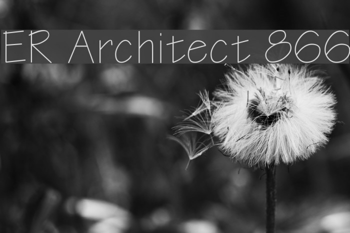 ER Architect 866 Font examples