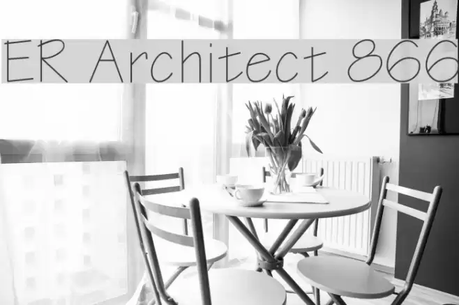 ER Architect 866 Fonte examples