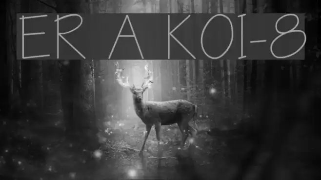 ER Architect KOI-8 Font examples