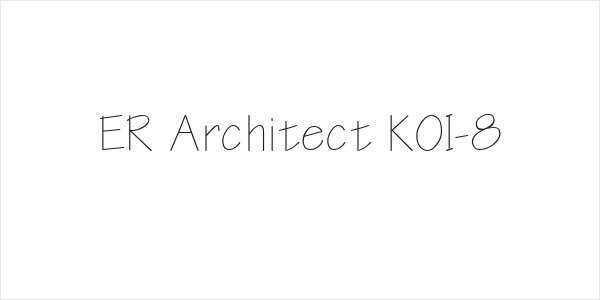 ER Architect KOI-8 Logo