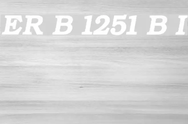 ER Bukinist 1251 Bold Italic Example 1