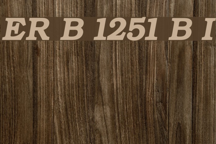 ER Bukinist 1251 Bold Italic Font examples