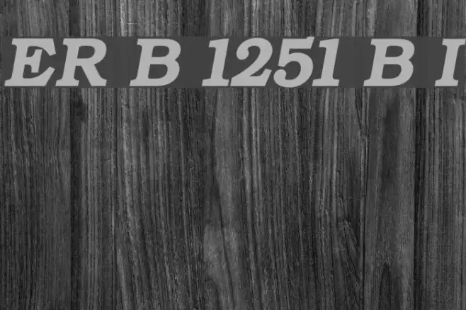 ER Bukinist 1251 Bold Italic Example 2