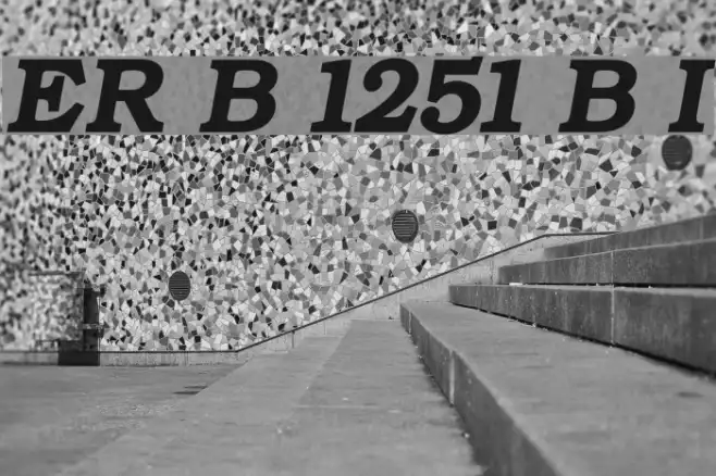 ER Bukinist 1251 Bold Italic Example 3