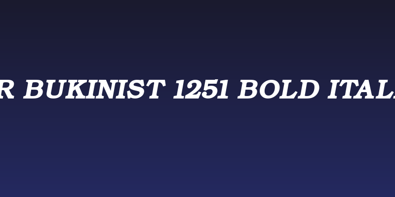 ER Bukinist 1251 Bold Italic Social Header
