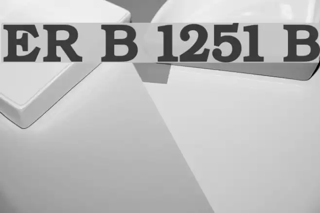 ER Bukinist 1251 Bold フォント examples