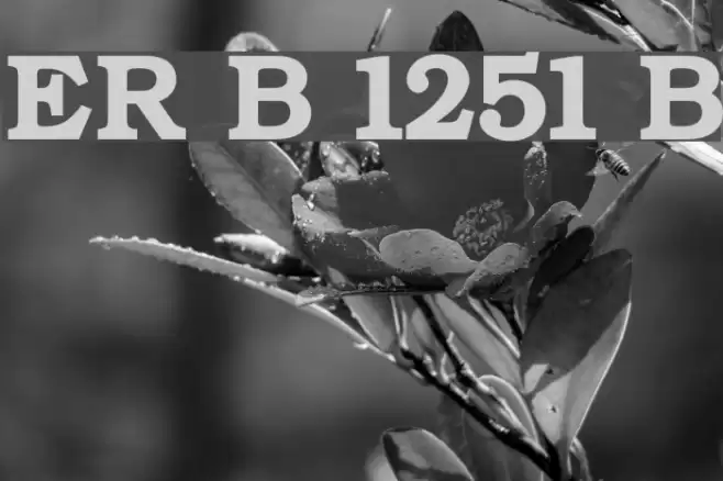 ER Bukinist 1251 Bold フォント examples