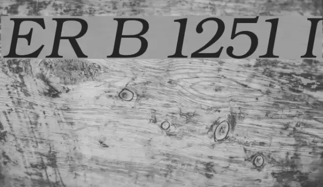 ER Bukinist 1251 Italic Font examples