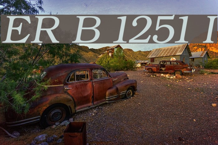 ER Bukinist 1251 Italic Font examples