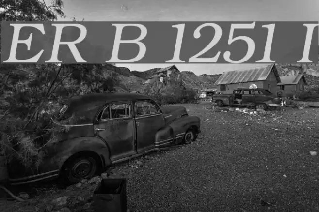 ER Bukinist 1251 Italic Font examples