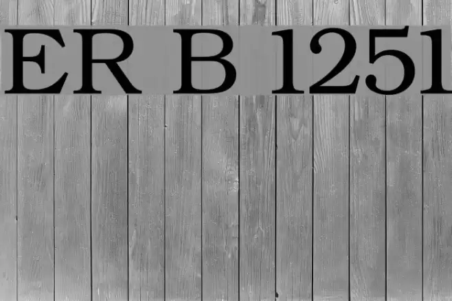 ER Bukinist 1251 Шрифта examples