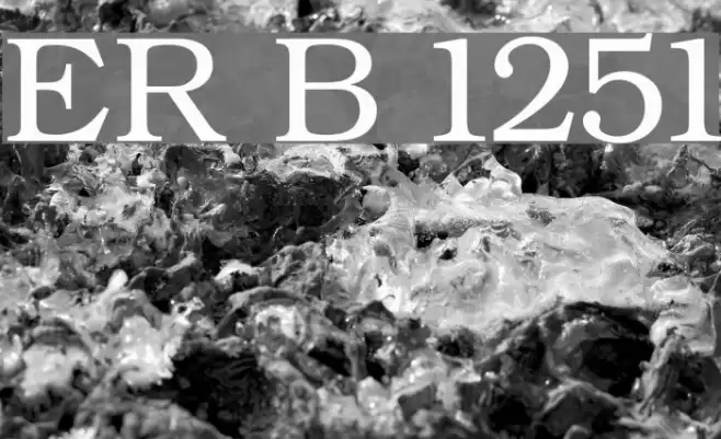 ER Bukinist 1251 Шрифта examples