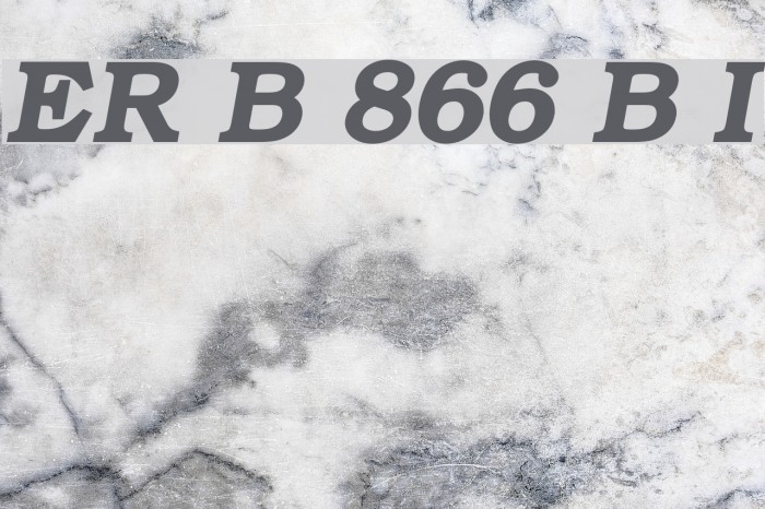 ER Bukinist 866 Bold Italic フォント examples