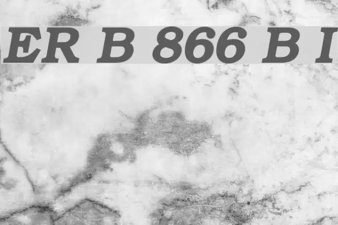 ER Bukinist 866 Bold Italic फ़ॉन्ट examples