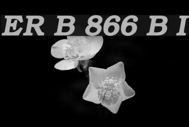 ER Bukinist 866 Bold Italic फ़ॉन्ट examples