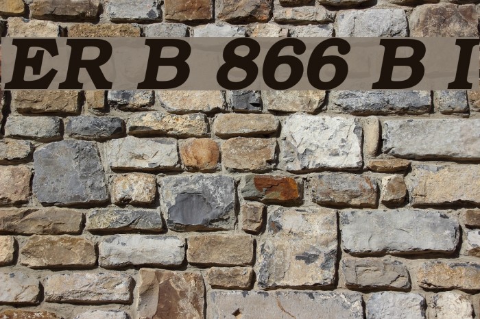 ER Bukinist 866 Bold Italic フォント examples