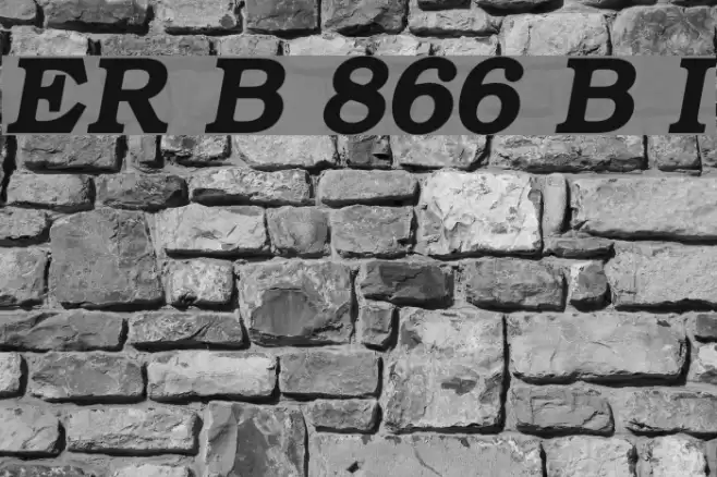 ER Bukinist 866 Bold Italic फ़ॉन्ट examples