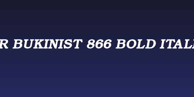 ER Bukinist 866 Bold Italic Social Header