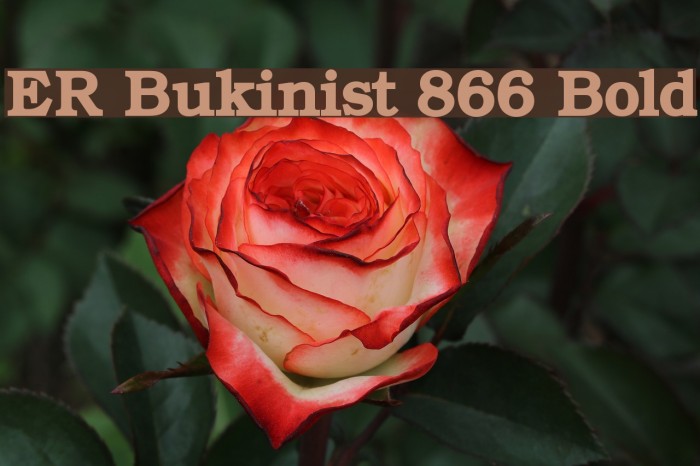 ER Bukinist 866 Bold Font examples