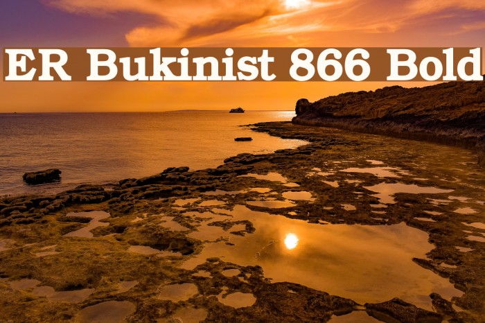 ER Bukinist 866 Bold Font examples
