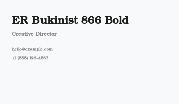 ER Bukinist 866 Bold Business Card