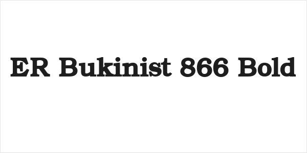 ER Bukinist 866 Bold Logo