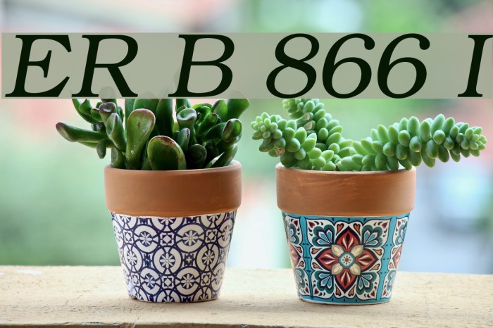 ER Bukinist 866 Italic Font examples