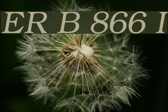 ER Bukinist 866 Italic Font examples