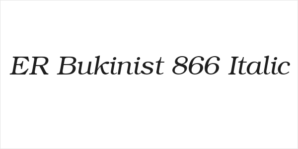 ER Bukinist 866 Italic Logo