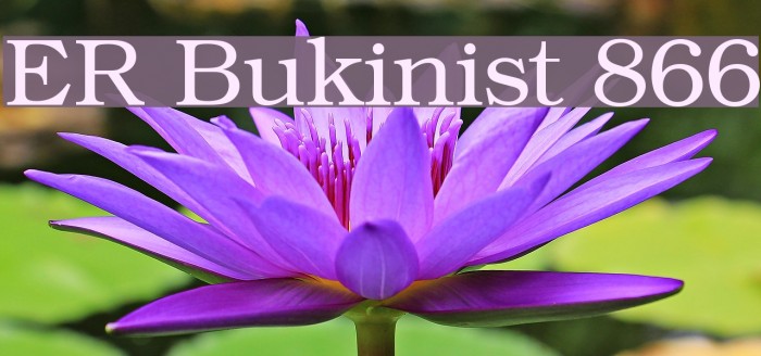 ER Bukinist 866 Font examples