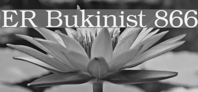 ER Bukinist 866 Schriftart examples