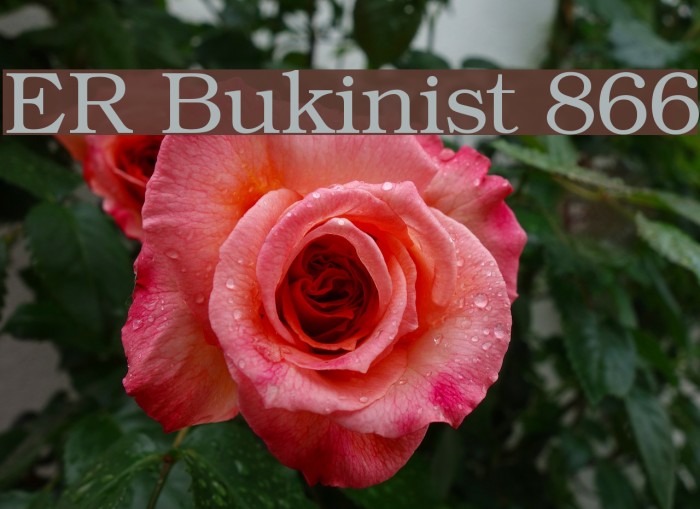 ER Bukinist 866 Font examples