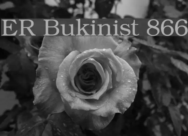 ER Bukinist 866 Schriftart examples